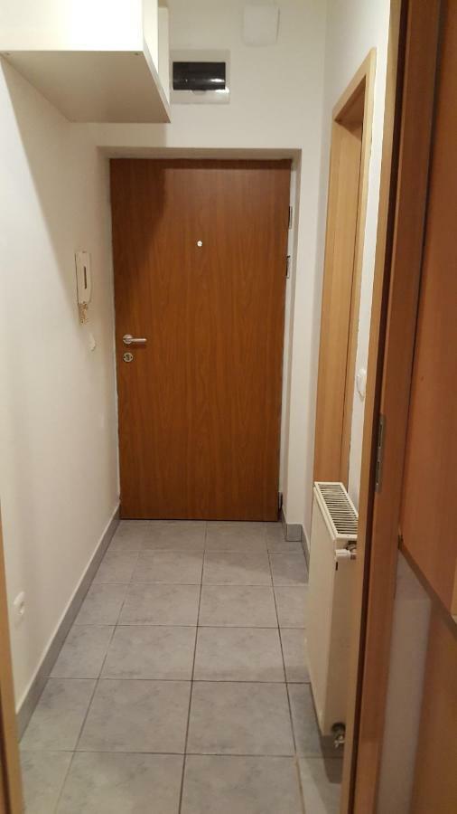Liget Apartment, Terrace, Free Parking, Ac 부다페스트 외부 사진