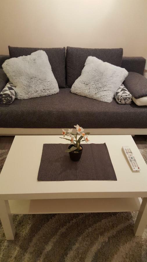 Liget Apartment, Terrace, Free Parking, Ac 부다페스트 외부 사진