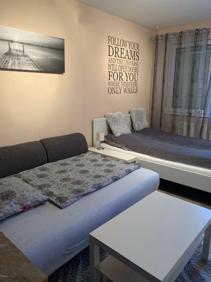 Liget Apartment, Terrace, Free Parking, Ac 부다페스트 외부 사진